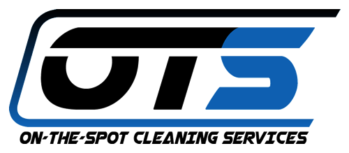 On-the-Spot Cleaning Services