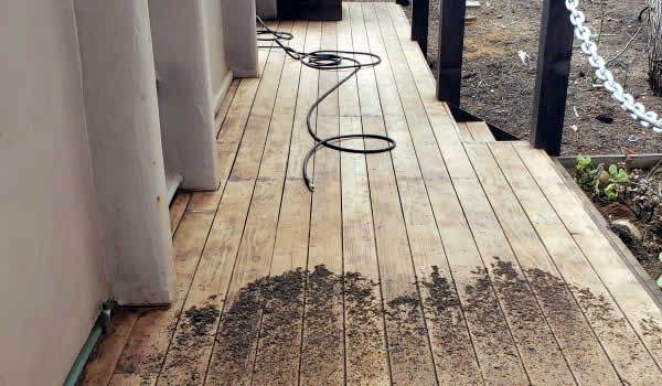 Our Deck & Fence Cleaning Services
